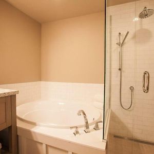Premier King Studio Second Floor Sofa Sleeper Non Pet-Friendly
